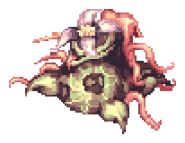 Mandragora